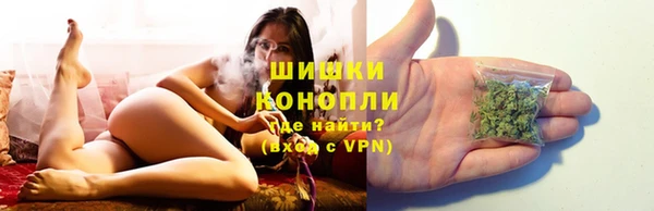 mix Козельск