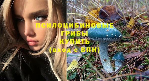 mix Козельск