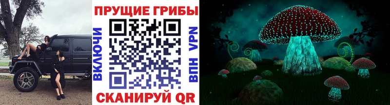 Купить где  Саянск  Галлюциногенные грибы GOLDEN TEACHER 